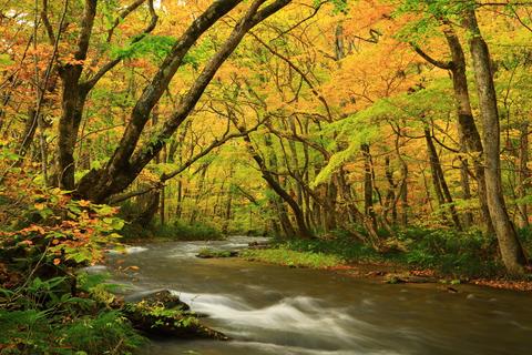 Oirase Stream