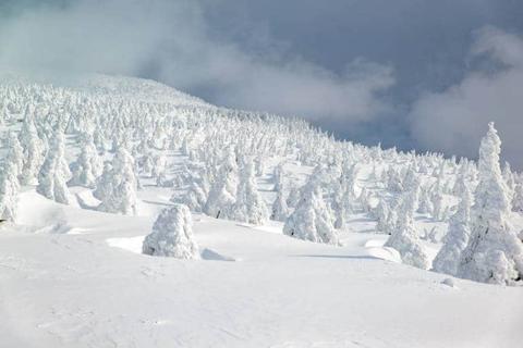 Snow Monsters of Zao Ski Resort