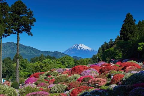 Yama No Hoteru
