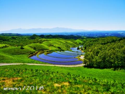 Ogi Ricefields (June)