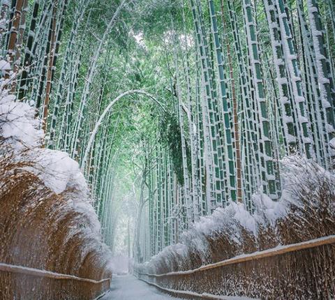 Arashiyama