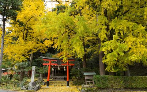 Iwato-Ochiba Shrine