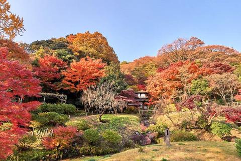 Sankeien Garden