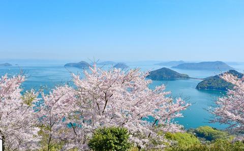 Mt. Shiude Mountaintop