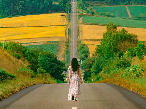 Roller Coaster Road