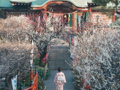 Kameido Tenjin Shrine
