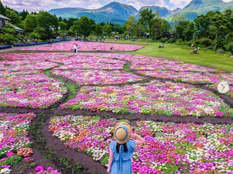 Kujyuu Flower Park