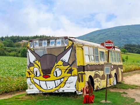 Catbus at Totoro Pass
