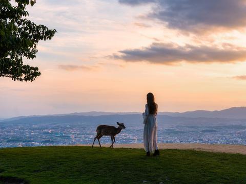Mt. Wakakusa