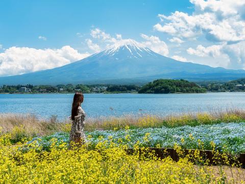 Oishi Park