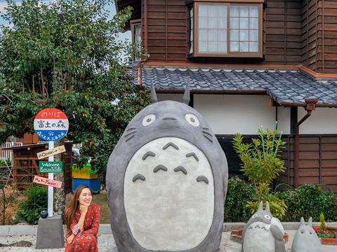 Futo no Totoro