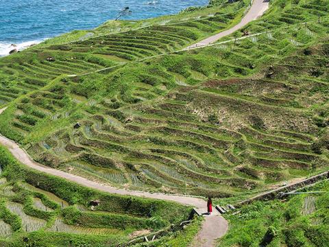 Shiroyone Senmaida Rice Terraces