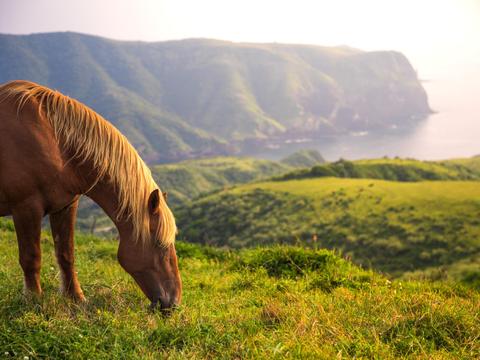Nishinoshima (Oki Islands)