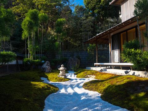 Hasedera