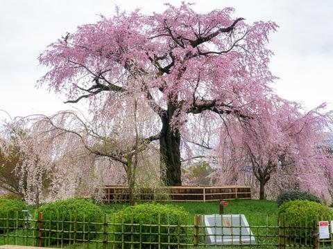 Maruyama Park