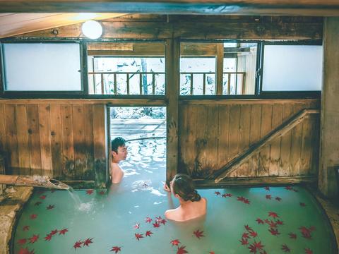 Hirayu no Mori (hotel & hot spring)