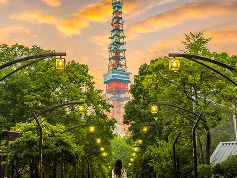 Photo spot of Tokyo.Tower at Shiba Park