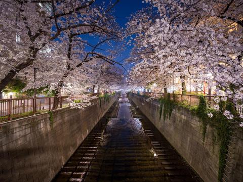 Naka-Meguro