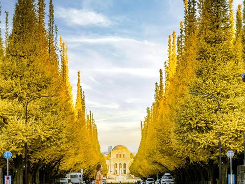 Jingu Gaien Ginkgo Avenue