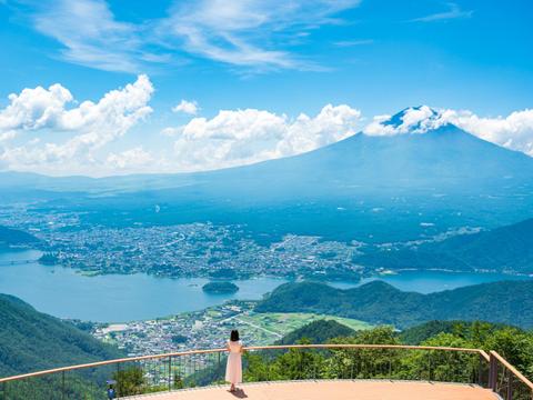 Fujiyama Twin Terrace