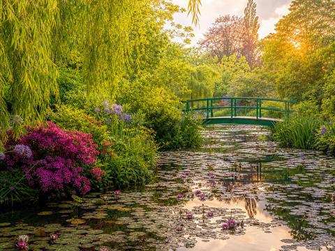 Monet's Gardens (Giverny)