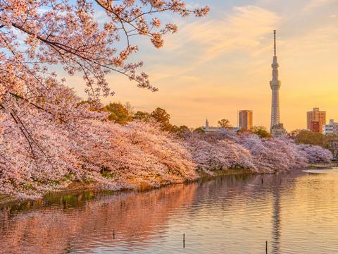 Ueno Park