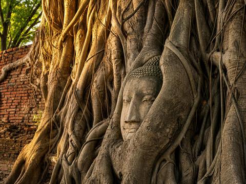 Ayutthaya Historical Park