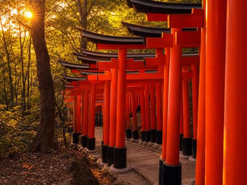 Fushimi Inari Taisha
