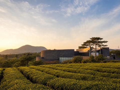 Osulloc Tea Museum