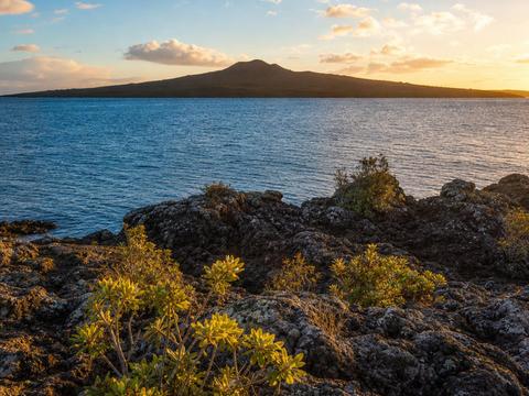 Rangitoto Island