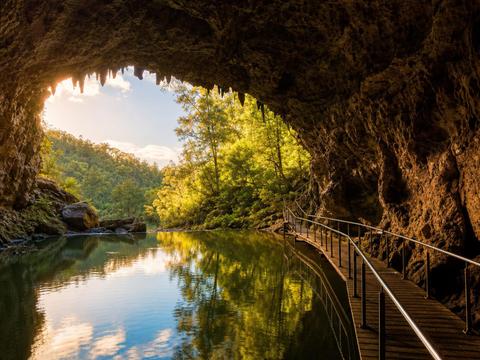 Waitomo Glowworm Caves