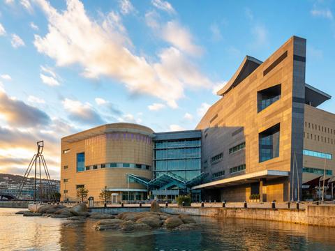 Te Papa Museum
