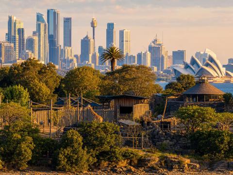 Taronga Zoo