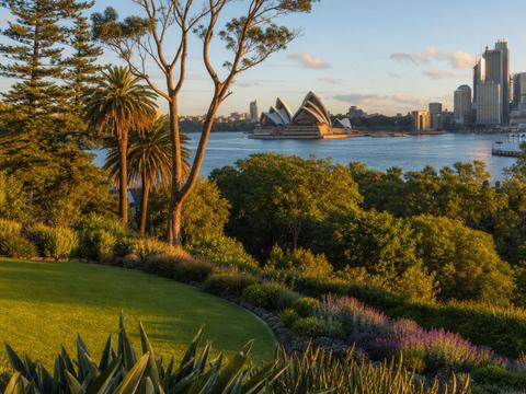 Royal Botanic Garden Sydney