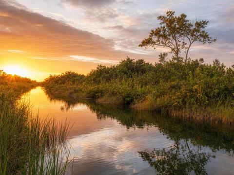 Everglades National Park