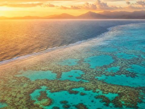 Great Barrier Reef (Cairns)