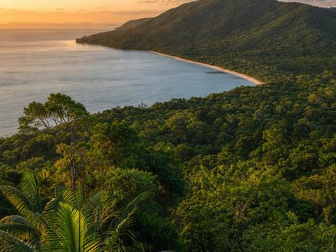 Daintree Rainforest
