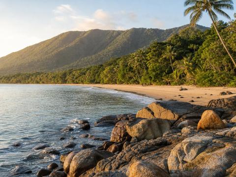 Cape Tribulation