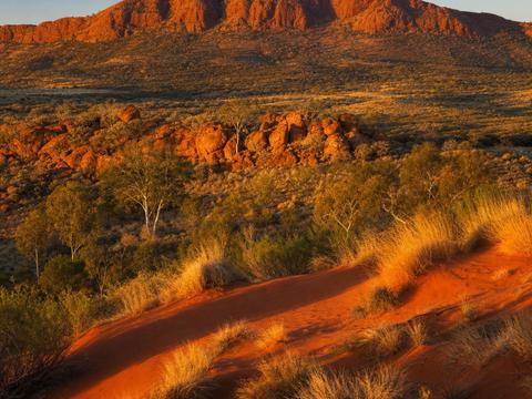 Alice Springs Desert Park