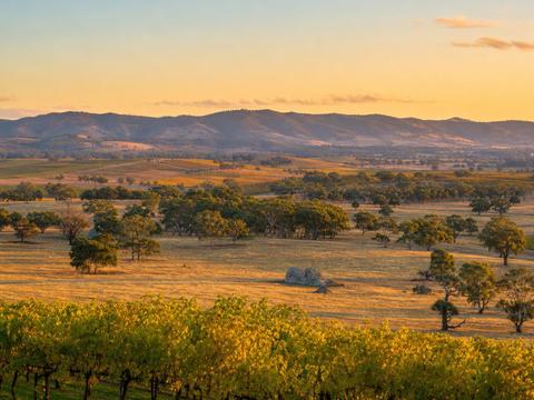 Barossa Valley