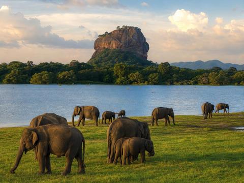 Minneriya National Park