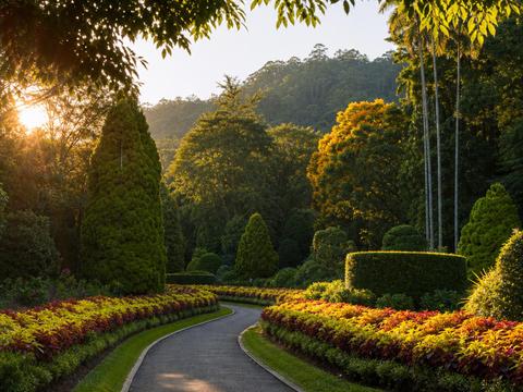 Royal Botanic Gardens Peradeniya