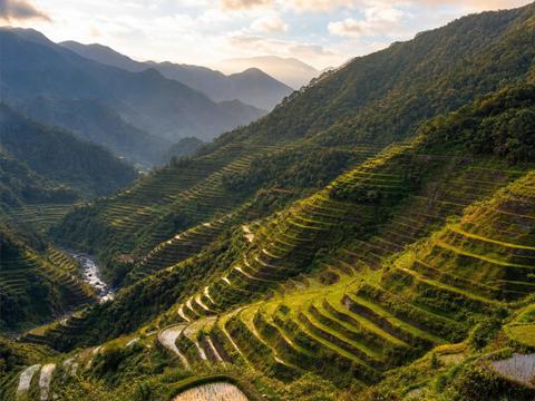 Banaue Rice Terraces