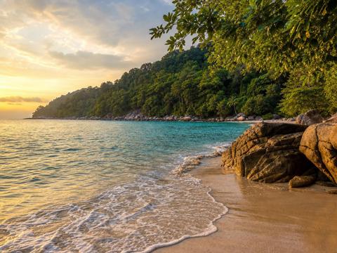 Penang National Park (Monkey Beach)