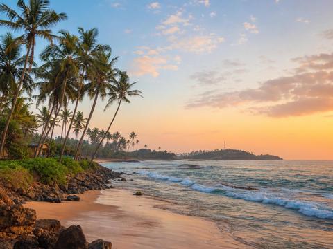 Mirissa Beach & Whale Watching