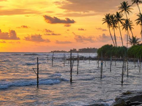 Stilt Fishermen of Koggala