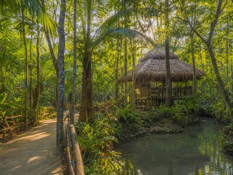 Philippine Tarsier Sanctuary
