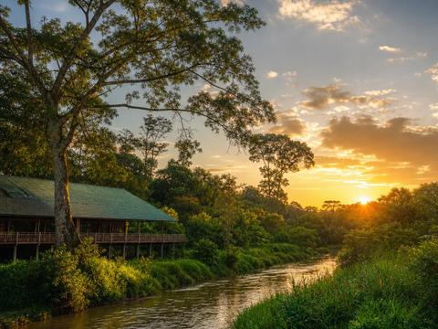 Semenggoh Wildlife Centre