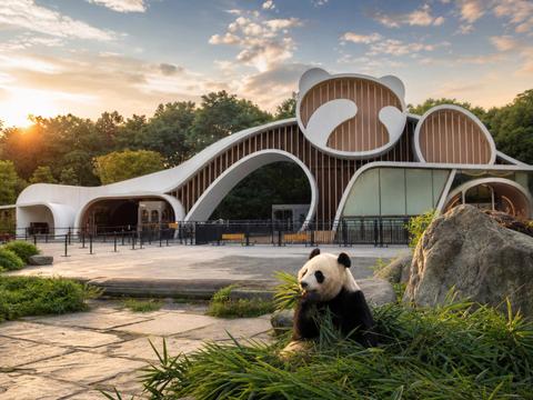 Chengdu Giant Panda Base