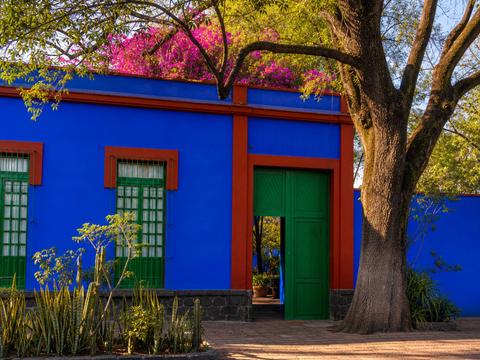 Frida Kahlo Museum